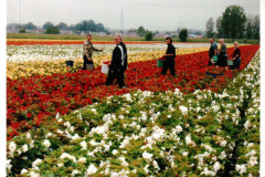 100-jaar-21